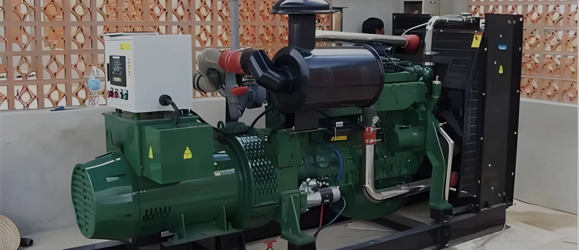 ຜູ້ຜະລິດ Biogas Generator